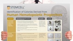 0977-04-01_Identification_Colonies_Human_Hematopoietic_Progenitors.jpg