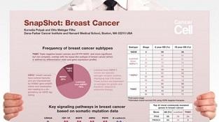 0977-05-01_Breast_Cancer.jpg