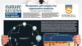 0977_02-01C_Pluripotent_Stem_Cell_Biology.jpg