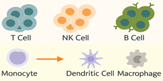 ImmunoCult_for_immune_cells.png