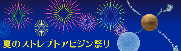 キャンペーン情報夏のDynabeadsストレプトアビジン祭り価格に関するお問い合わせ株式会社ベリタス