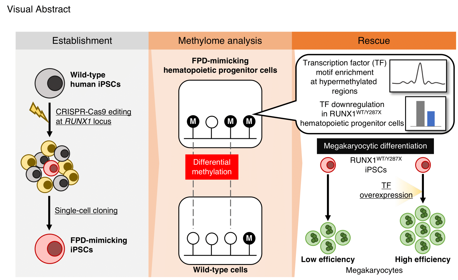 Visual_Abstract_for_Webinar-1.png