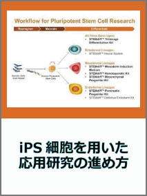 hpsc-differentiation-lineup.jpg