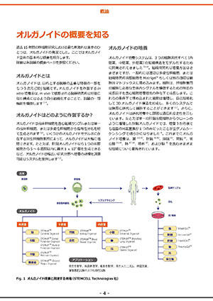 Organoid-handbook-edit4-overview.jpg