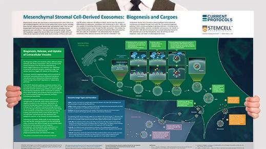 msc-exosome-wallchart.jpg