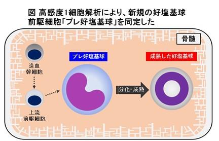 webinar_0720_fig.jpg