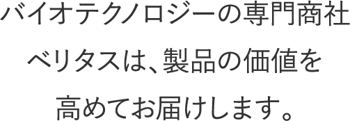 会社案内 株式会社ベリタス