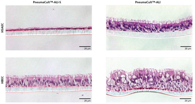 05050_Data_Figure3.jpg