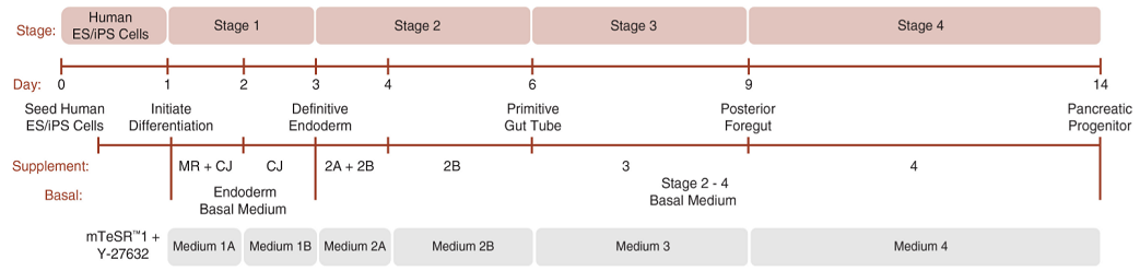 05120_workflow.png