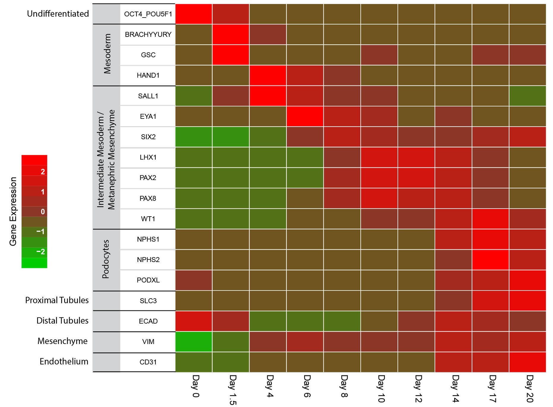 05160-Fig-4.jpg