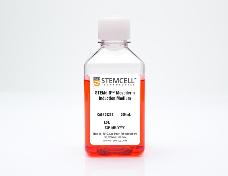 05221-product-2.jpg