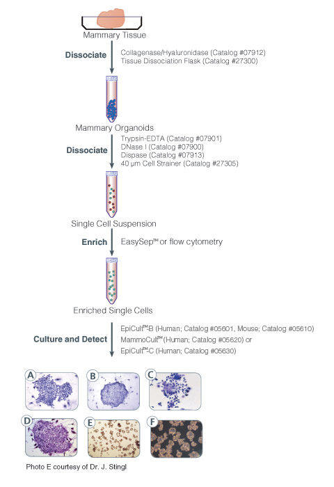 05620-figure1.jpg