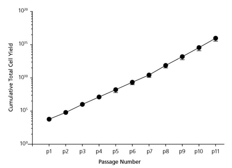 06040-Fig6.jpg