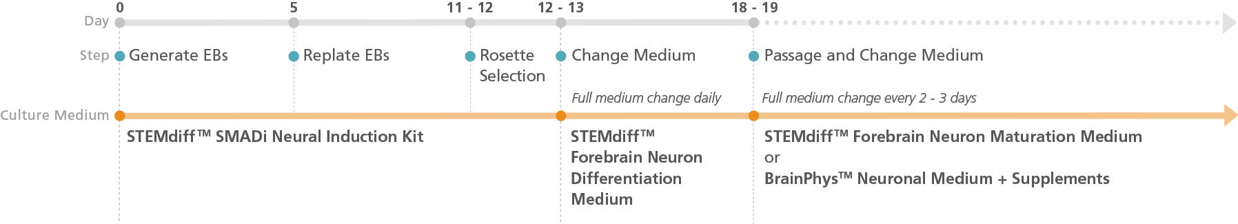 08600-Fig1.jpg