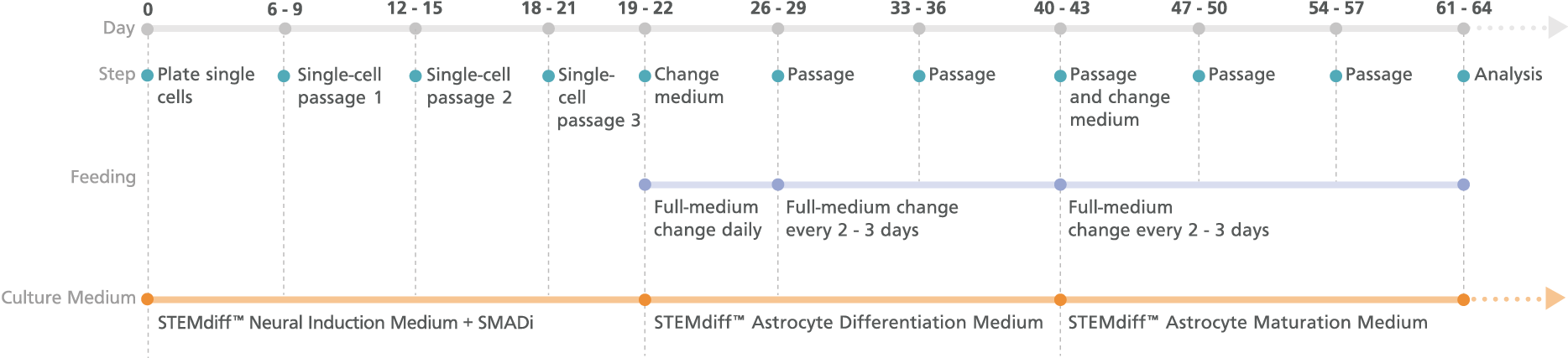 100-0013-Fig2.jpg.png