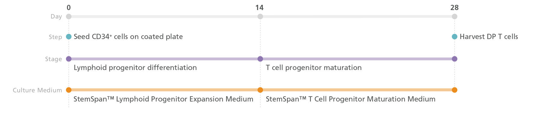 100-0194-Fig-3.jpg