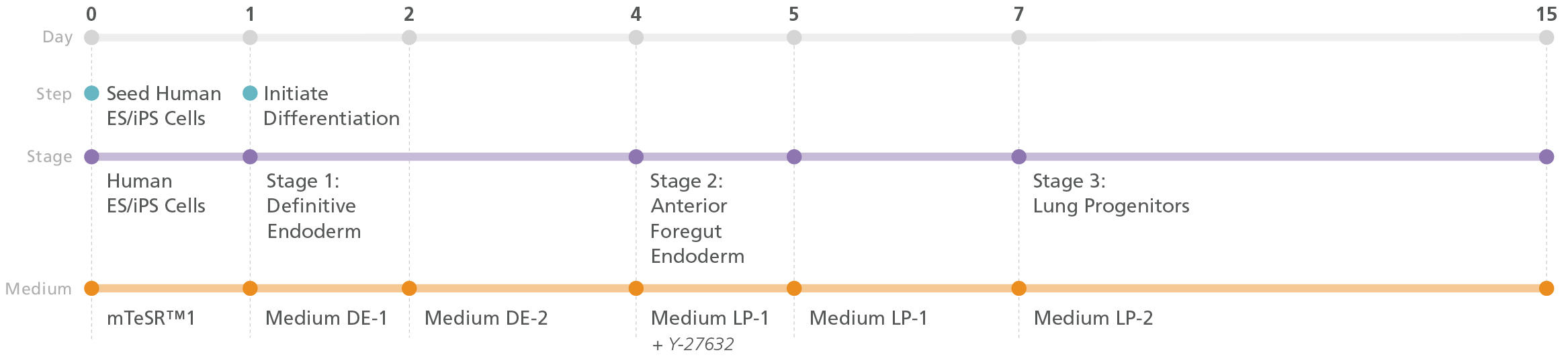 100-0230-Fig1.jpg