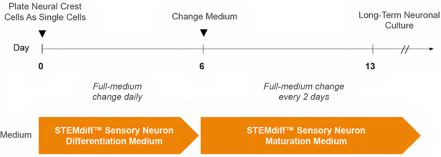 100-0341-Fig1.jpg