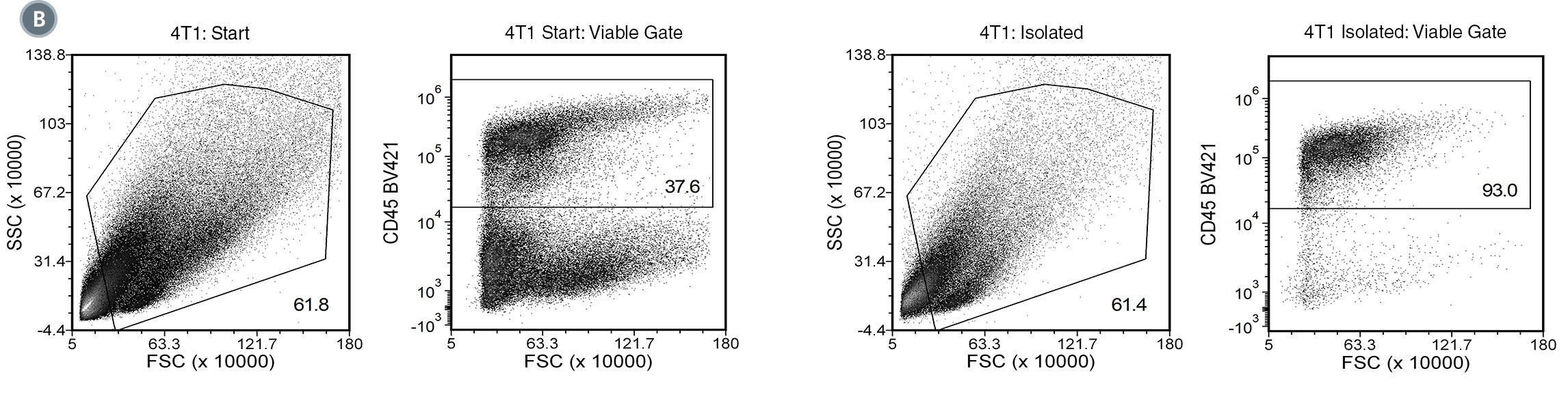 100-0350-Fig2.jpg