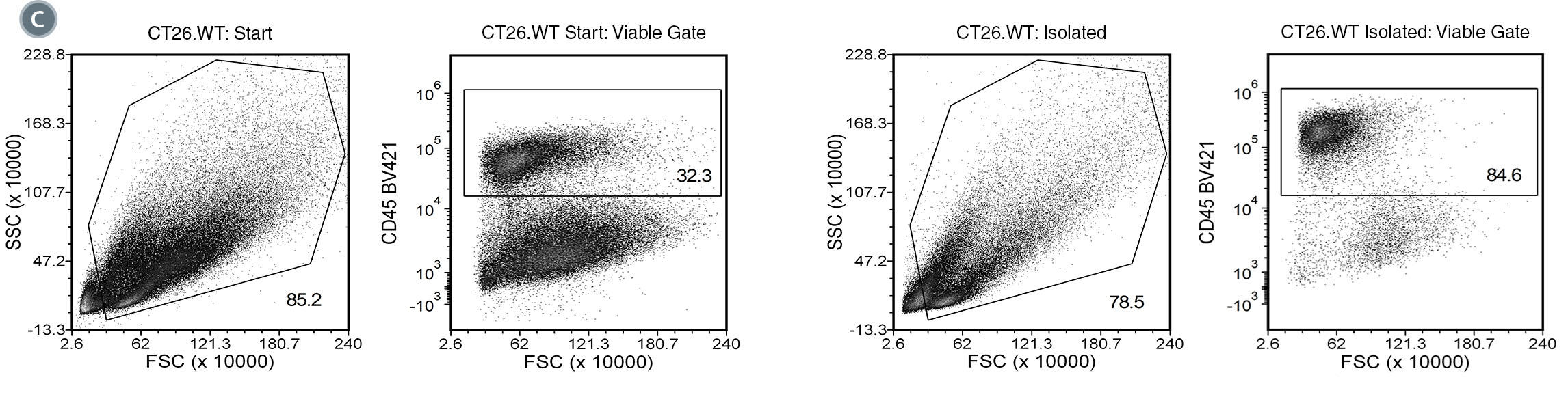 100-0350-Fig3.jpg