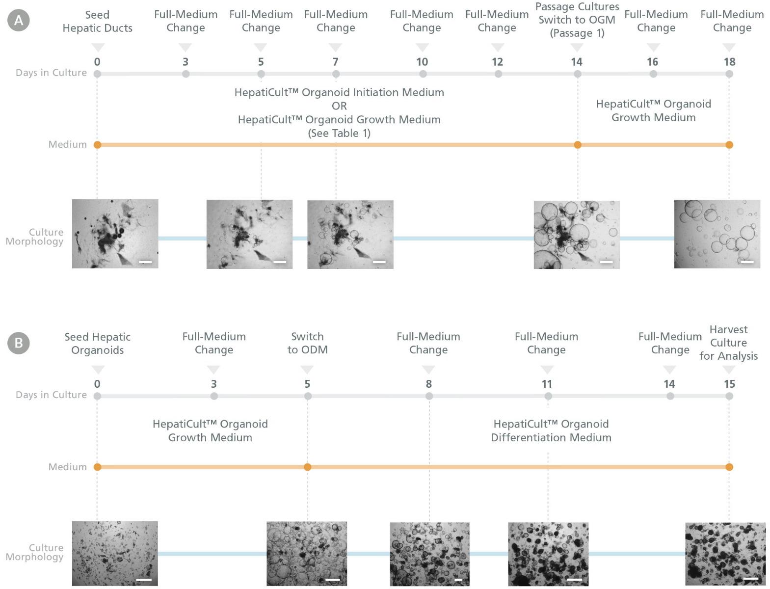 100-0386-Fig1.jpg