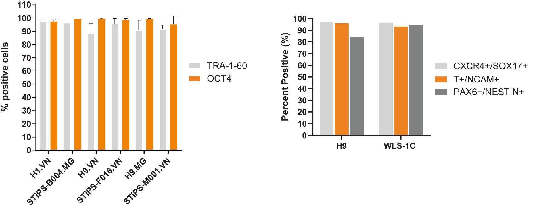 100-0401-Fig-6.jpg