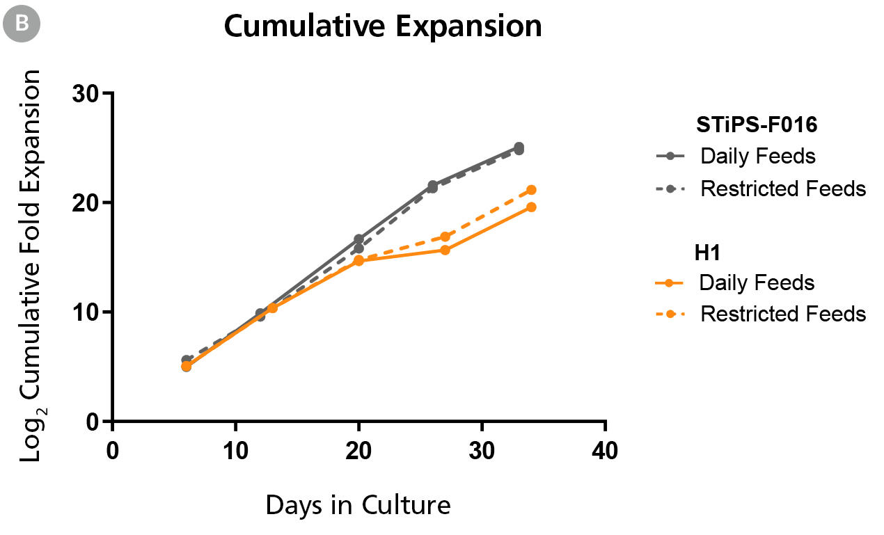 100-0401-Fig1b.jpg