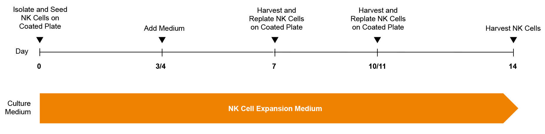 100-0711-Fig1.jpg