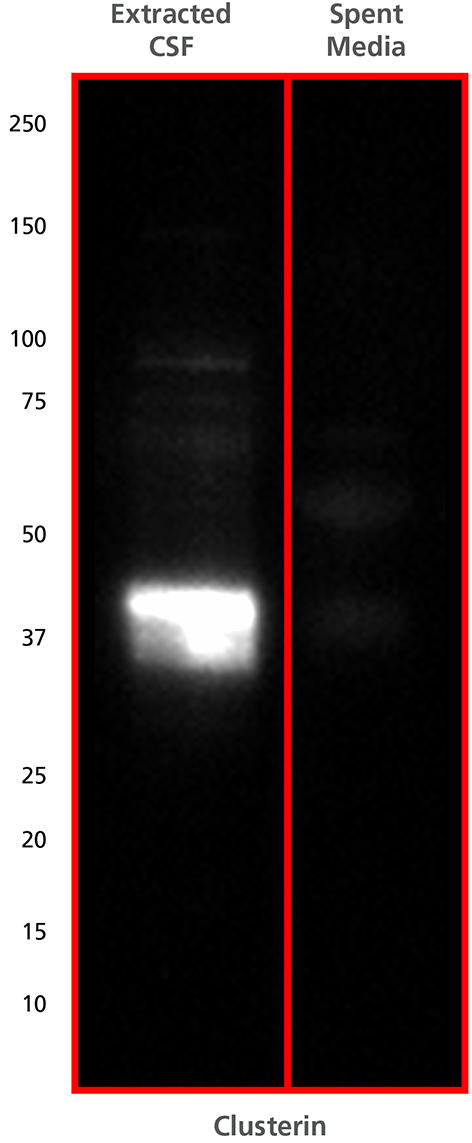 100-0824-Fig-4.jpg