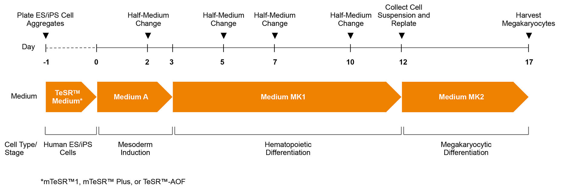 100-0900-Fig1.jpg