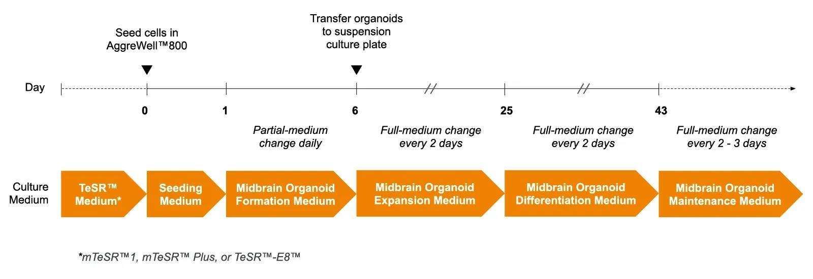 100-1096_fig1.jpg