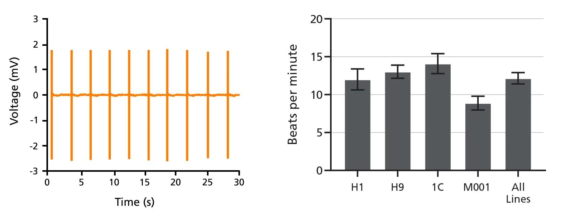 100-1109-Fig5.jpg