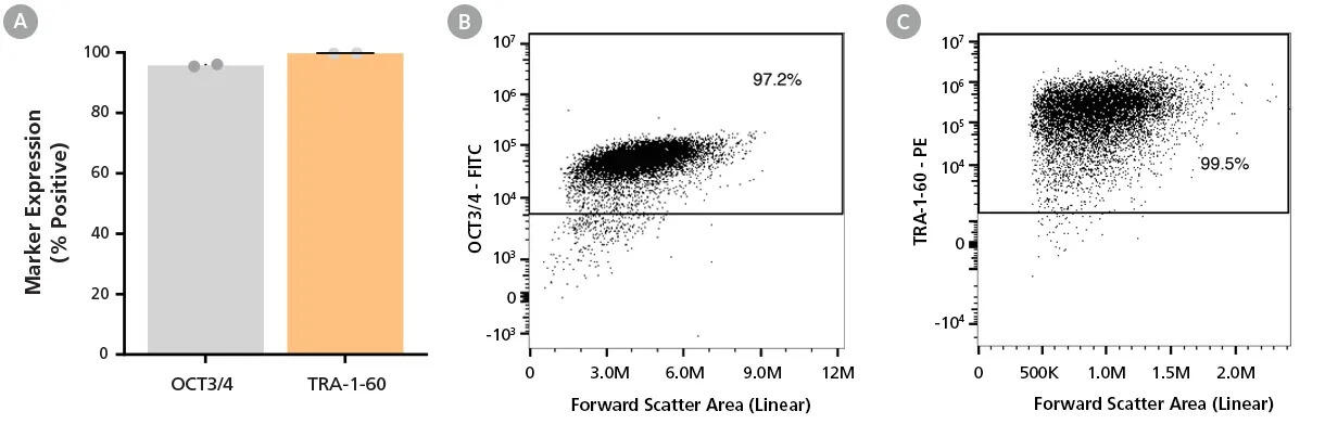 200-1062_C_DA0197_data_03.jpg
