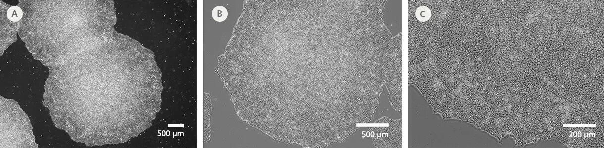 200-1063_C_DA0200_data_01.jpg