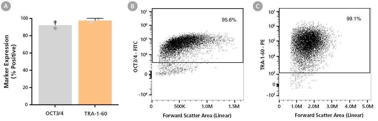 200-1063_C_DA0200_data_03.jpg