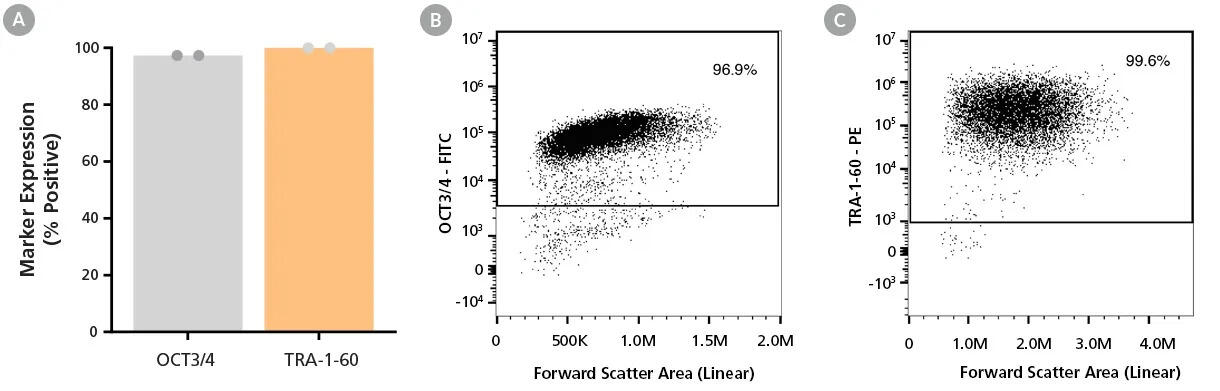 200-1069_C_DA0204_data_03.jpg