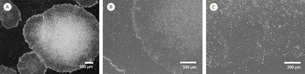 200-1070_C_DA0206_data_01.jpg