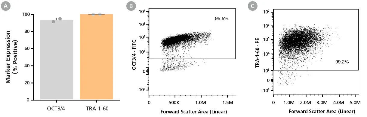 200-1070_C_DA0206_data_03.jpg