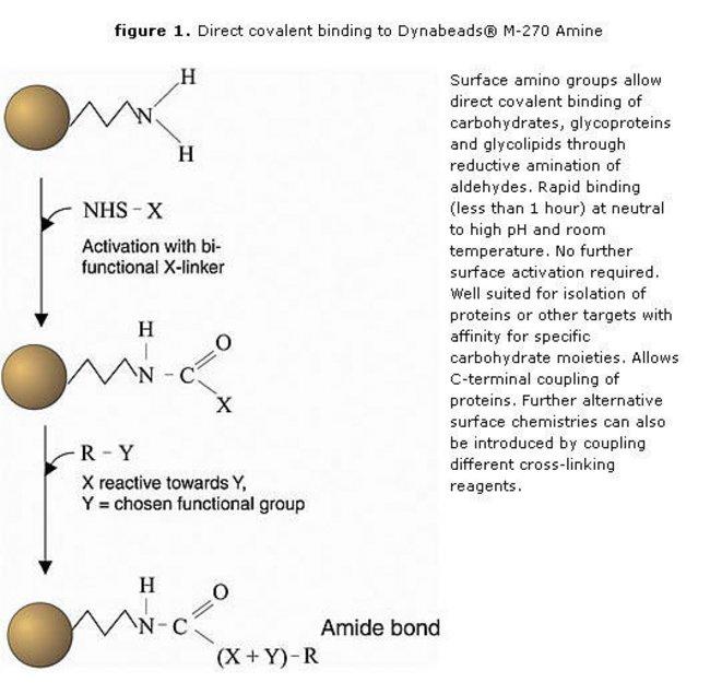 DB14307_Fig-650.jpg