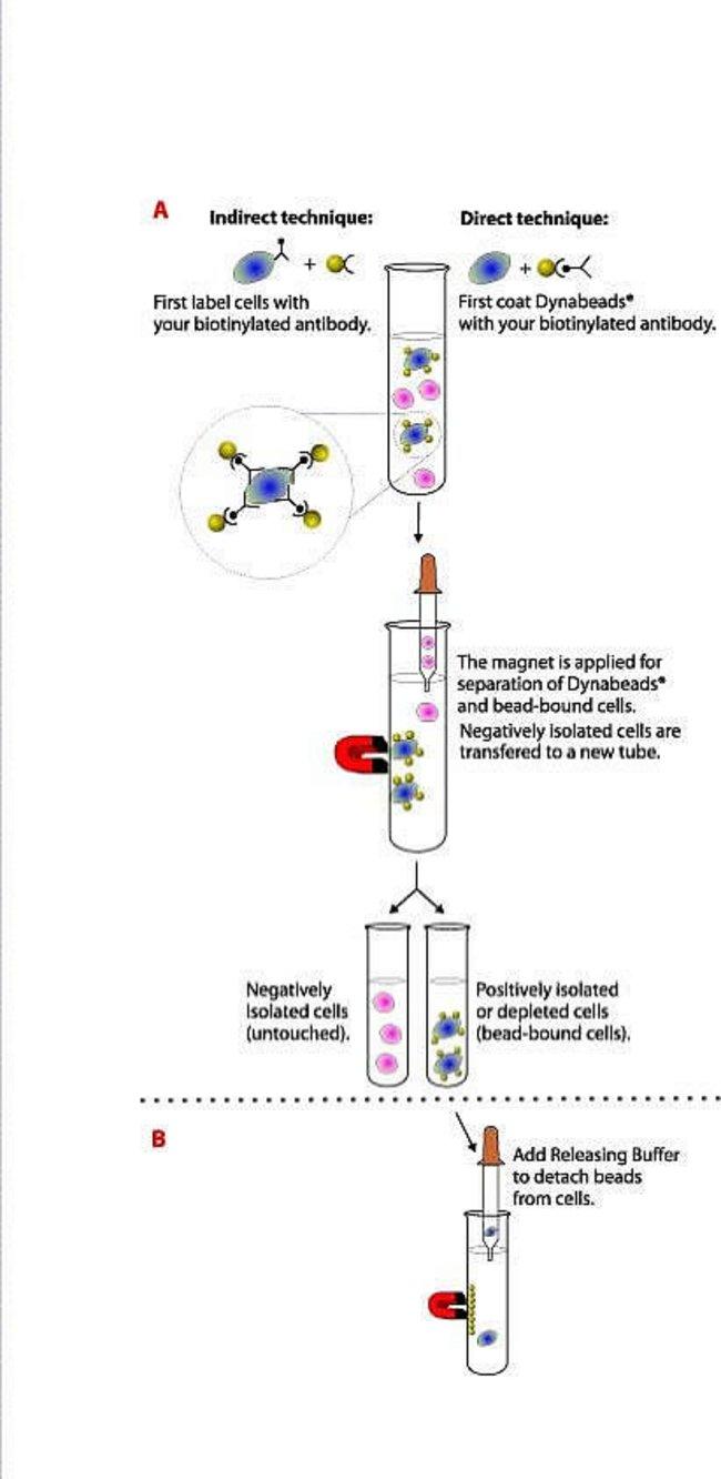 DB11047_Fig.jpg