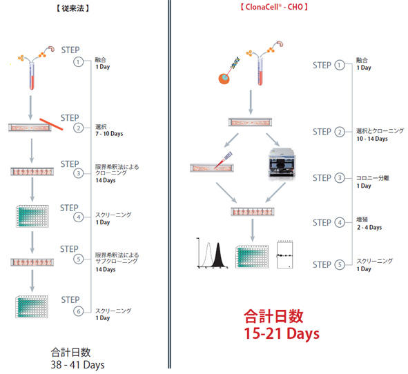 ClonaCell-CHO_3[1].jpg