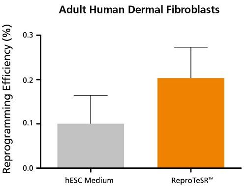 ST-05926-fig2.jpg