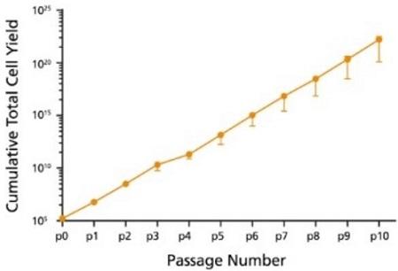 ST-06030_hepaticult_data6.jpg