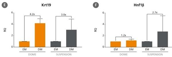 ST-06030_hepaticult_data8.jpg