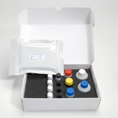 抗AT1R抗体検出キット | 製品情報 | ベリタス