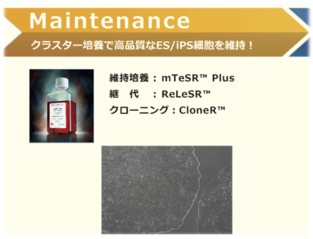 Maintenance.png