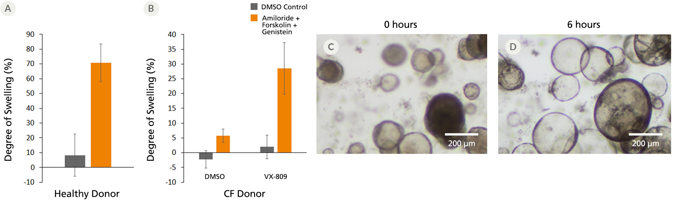 05060-Fig3.jpg