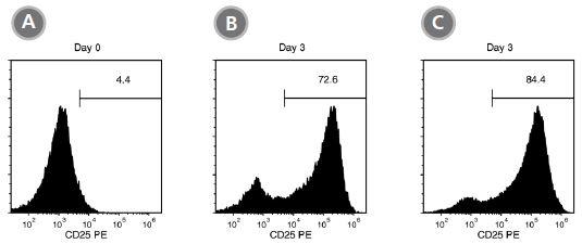 ラーニングコーナーCAR（キメラ抗原受容体）-T細胞の単離・活性化・増殖CAR-T細胞療法研究に向けてT細胞の分離T細胞の活性化T細胞の増殖無料サンプルのご案内関連情報関連製品記事に関するお問い合わせ株式会社ベリタス
