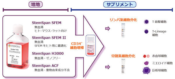 0973_Fig2_StemSpan_products.jpg