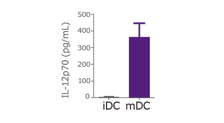 0978_06_DC_phenotype-2.jpg